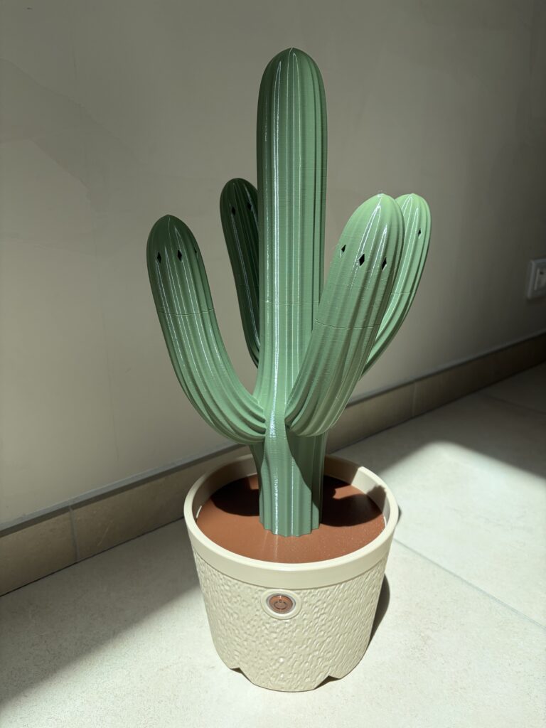 Sèche chaussure cactus - 2 paires de chaussures