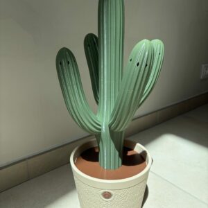 Sèche chaussure cactus - 2 paires de chaussures