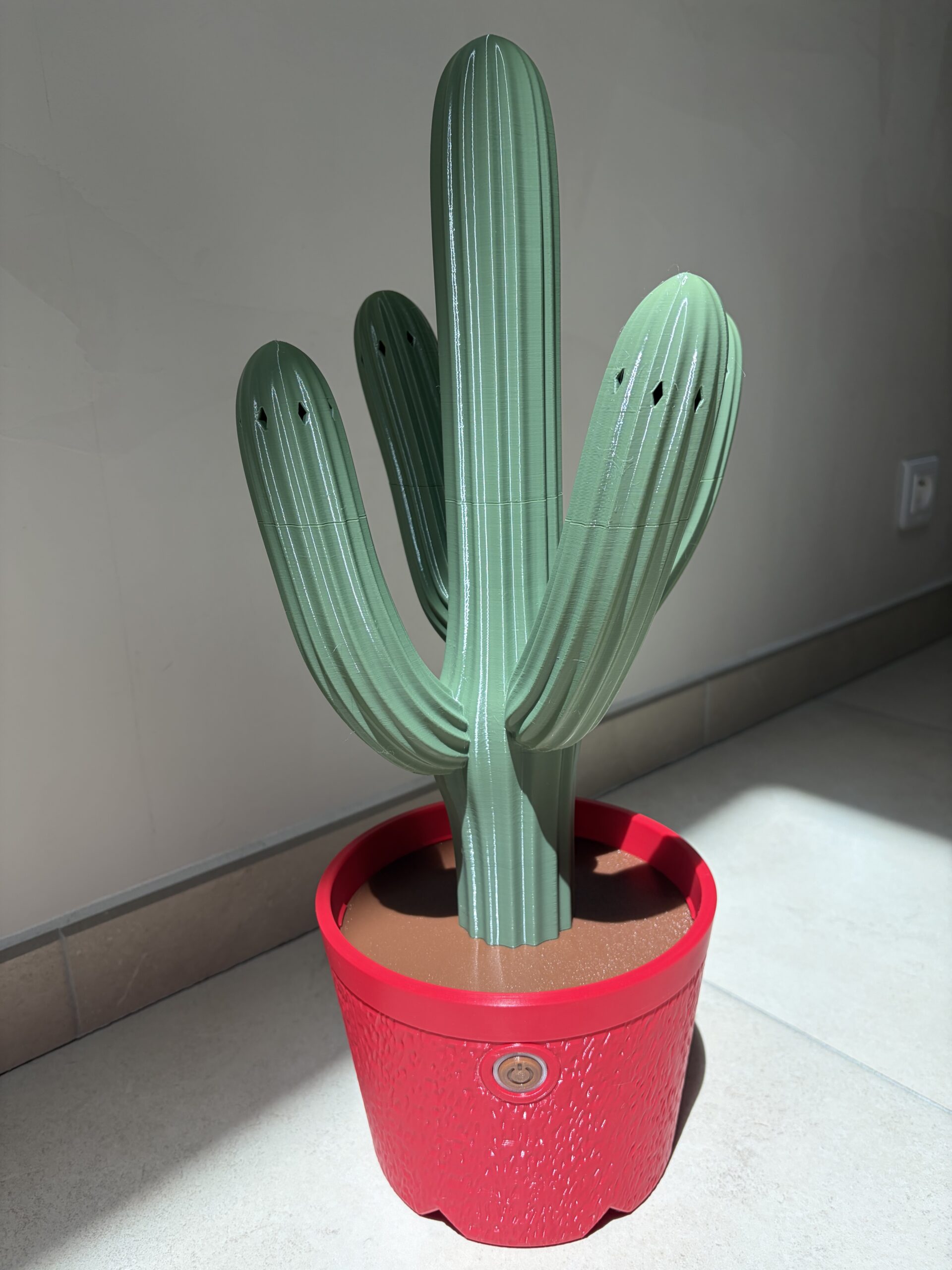 Sèche chaussure cactus - 2 paires de chaussures
