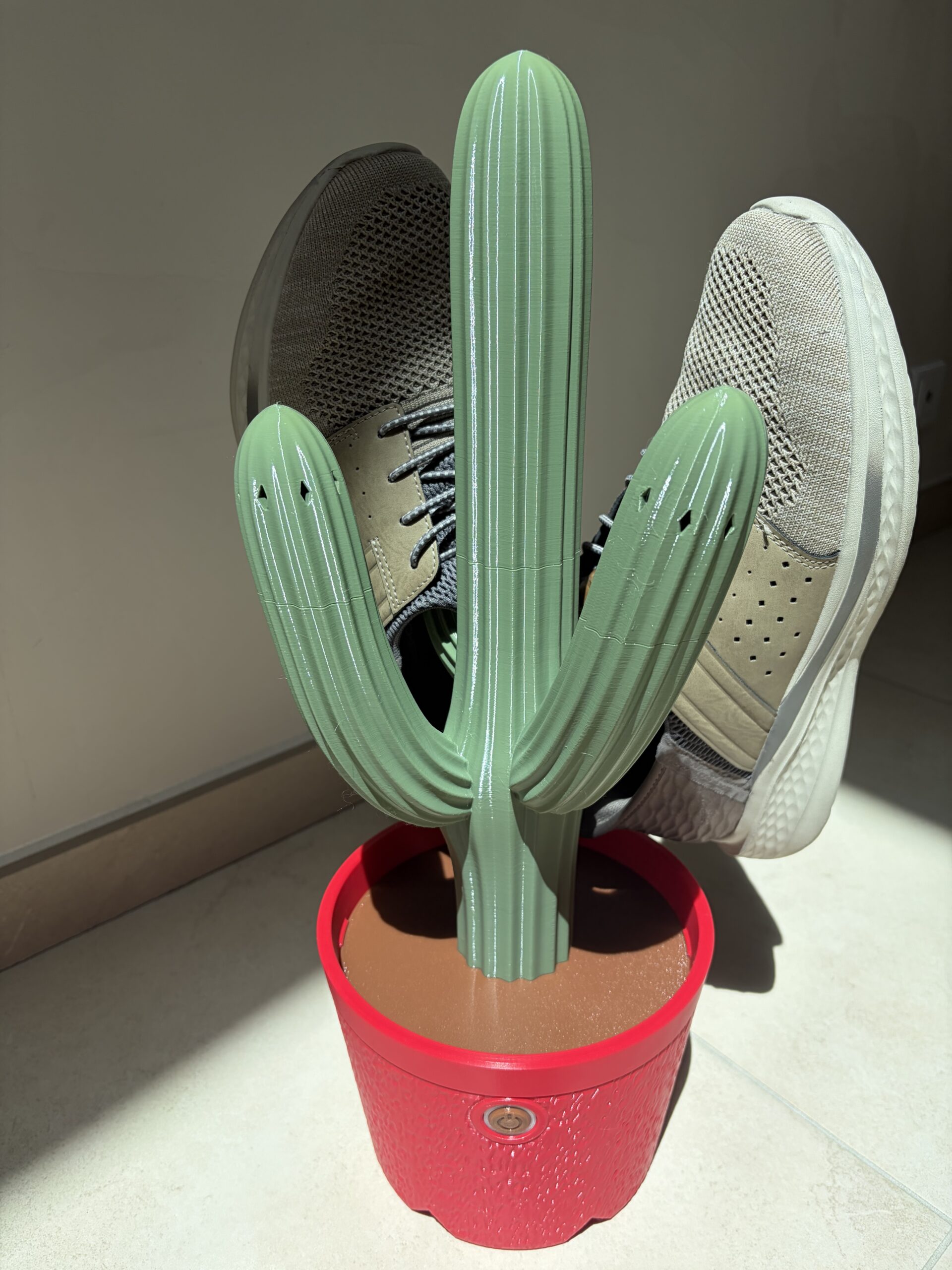 Sèche chaussure cactus - 2 paires de chaussures