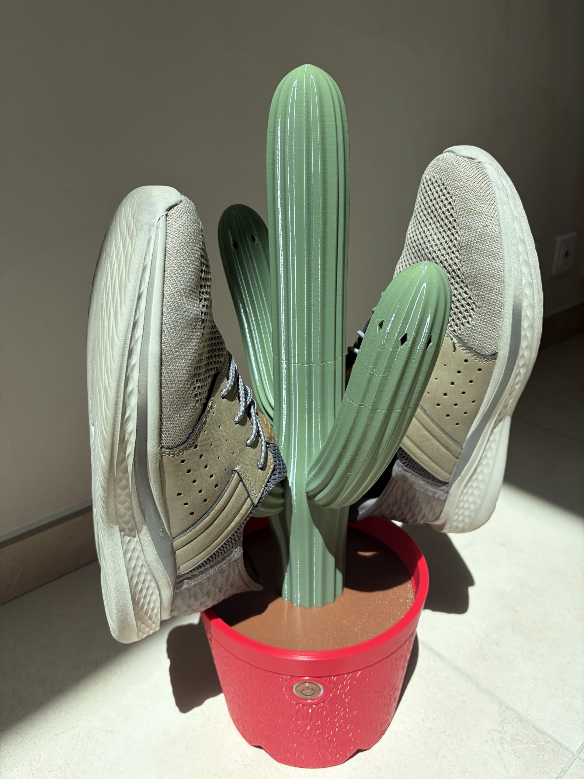 Sèche chaussure cactus - 2 paires de chaussures