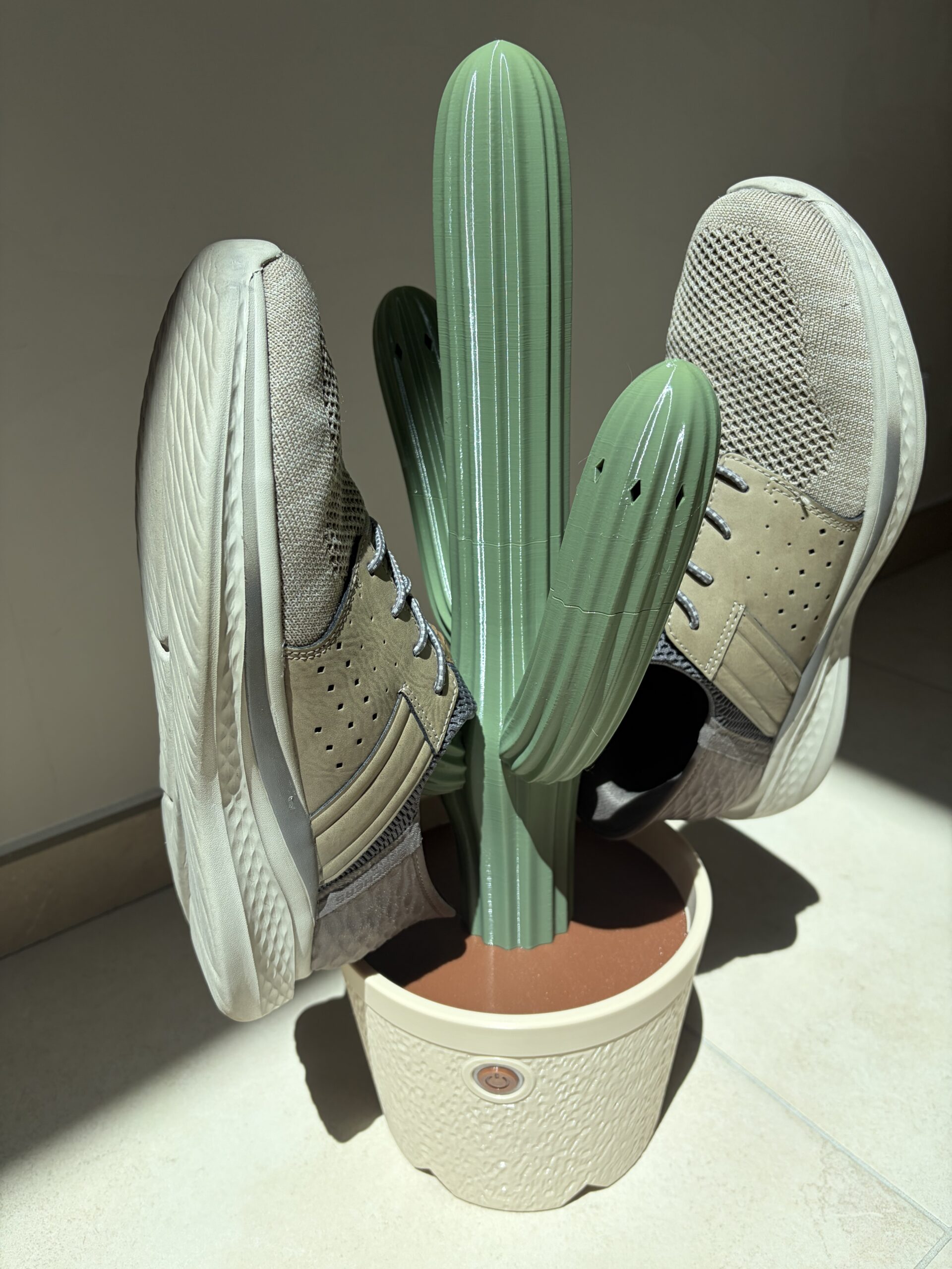 Sèche chaussure cactus - 2 paires de chaussures