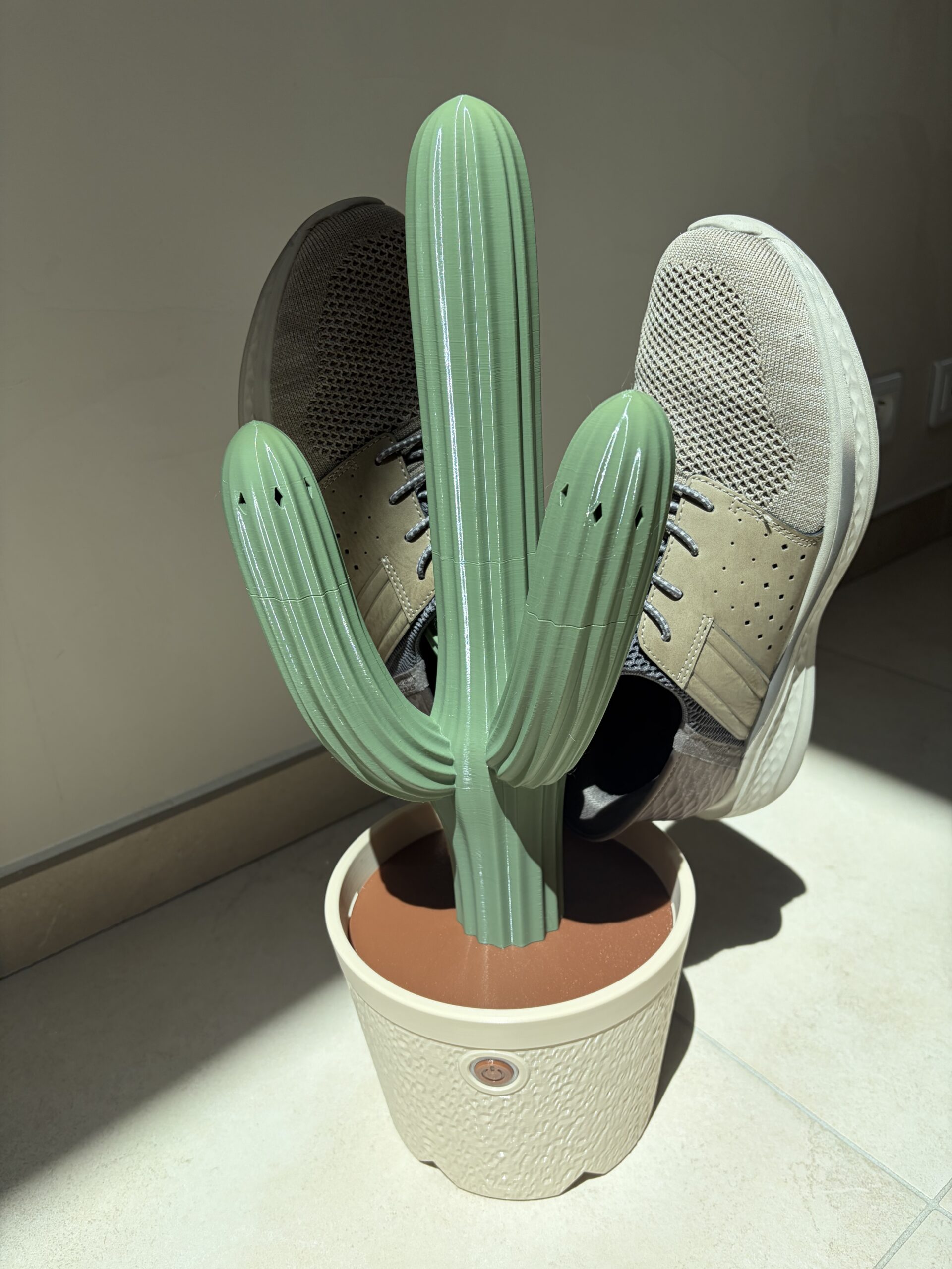 Sèche chaussure cactus - 2 paires de chaussures