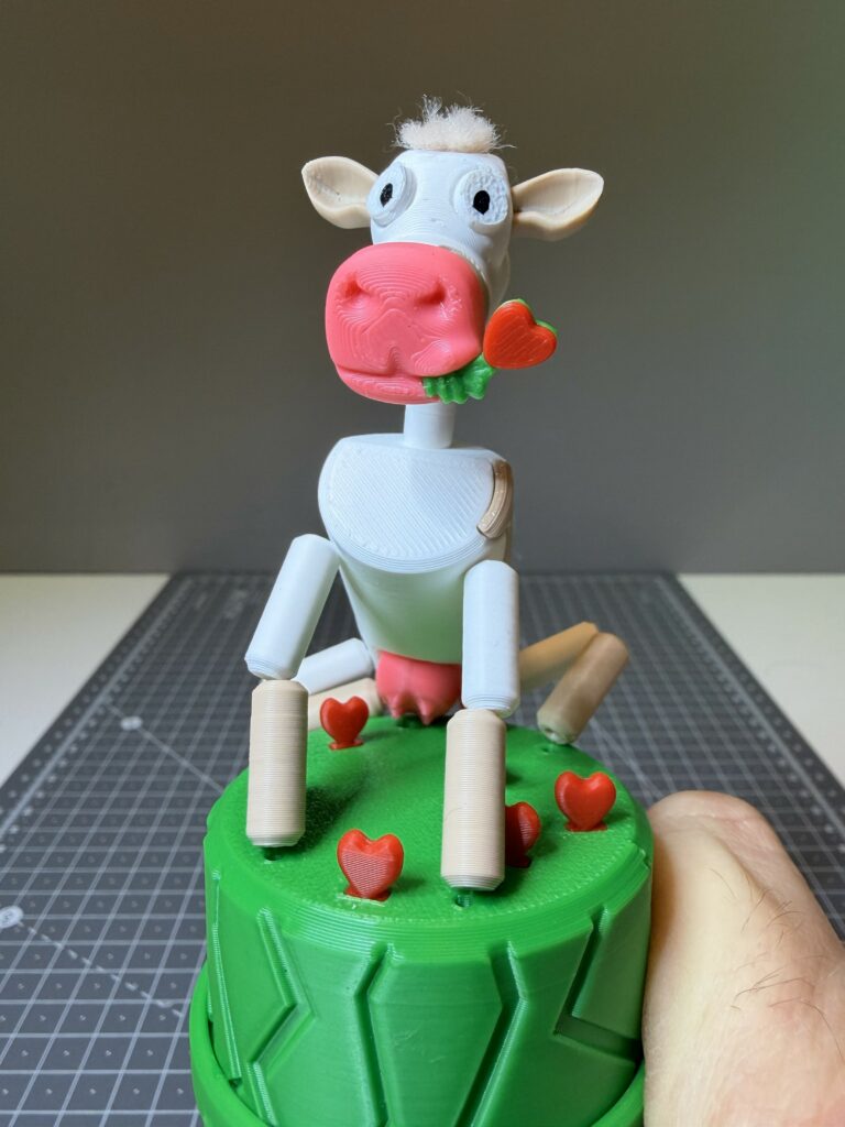 Cows on Spring Valentine